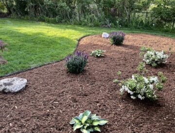 Bed Care & Mulch