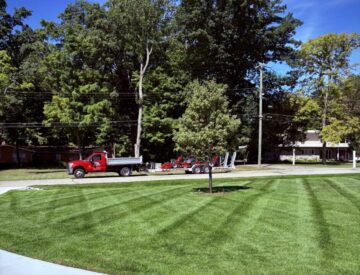 Commercial and Residential Lawn Care