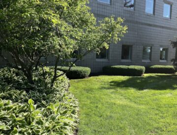 Spring & Fall Cleanups